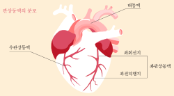 평소 숨차고 가슴 답답하면? 심장질환 체크!